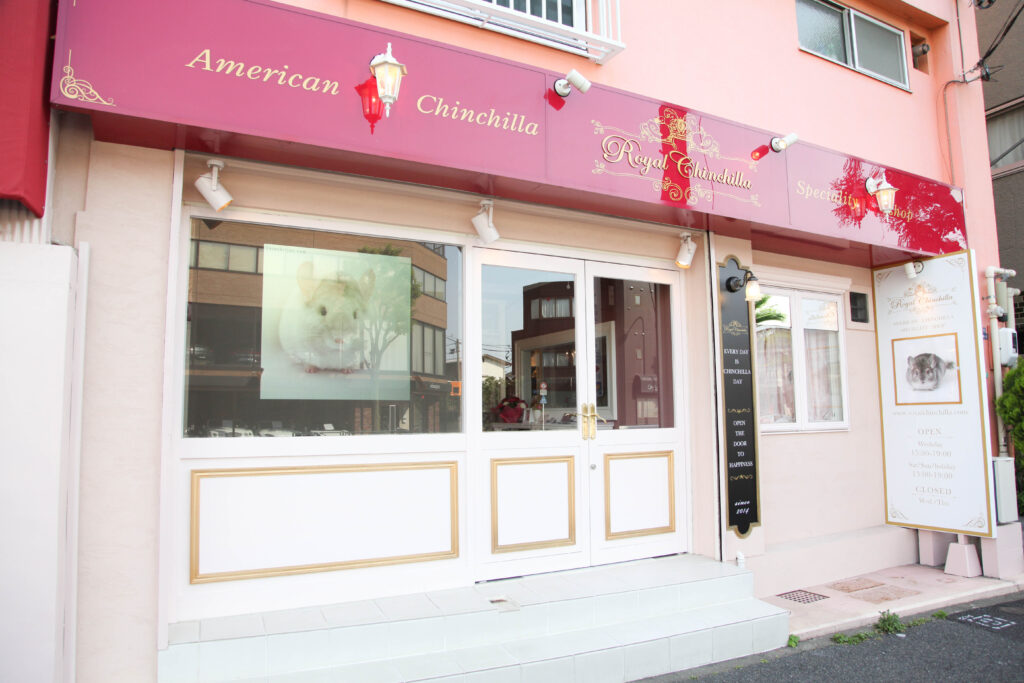 店舗案内 | Royal Chinchilla SecondLife